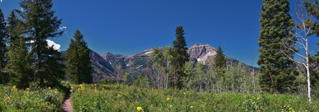 Timpanogos Peak from back hiking on Salamander Flat Willow Hollow and Snow Gauging Loop trail Uinta Wasatch Cache National Forest, Rocky Mountains, Utah. United States.の写真素材