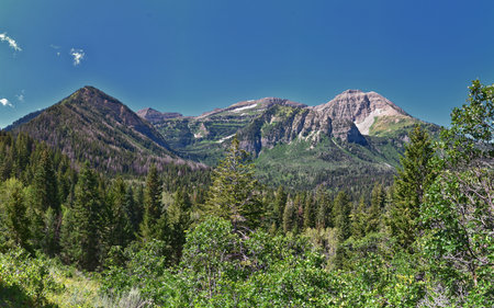 Timpanogos Peak from back hiking on Salamander Flat Willow Hollow and Snow Gauging Loop trail Uinta Wasatch Cache National Forest, Rocky Mountains, Utah. United States.の写真素材