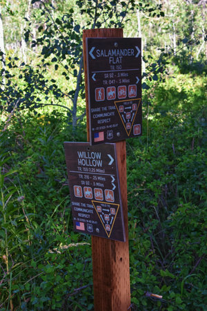 Timpanogos back hiking Salamander Flat Willow Hollow and Snow Gauging Loop trail Uinta Wasatch Cache National Forest, Rocky Mountains, Utah. United States.の写真素材