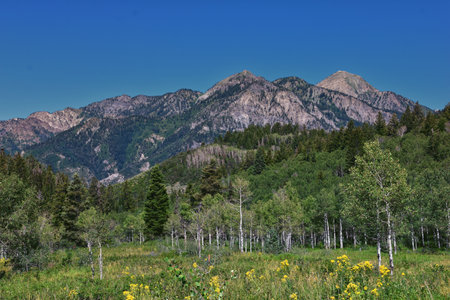 Timpanogos back views hiking Salamander Flat Willow Hollow and Snow Gauging Loop trail Uinta Wasatch Cache National Forest, Rocky Mountains, Utah. United States.の写真素材