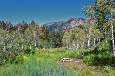 Timpanogos back views hiking Salamander Flat Willow Hollow and Snow Gauging Loop trail Uinta Wasatch Cache National Forest, Rocky Mountains, Utah. United States.の写真素材