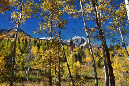 Timpanogos back views from hiking trail, Willow Hollow Ridge, Pine Hollow Wasatch Rocky Mountains,...