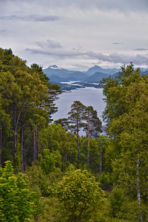 Coastline Fjord views from Alesund, Norway from hiking trail above the city, travel scenery Scandinavia Europeの写真素材