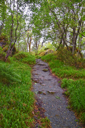 Alesund hiking trail from Sukkertoppen, The Sugar Top trail views, coast and fjord, Norway, Scandinavia Europeの写真素材