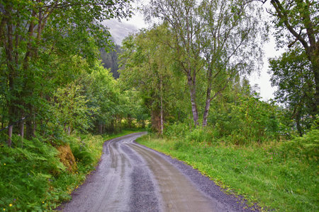 View to Sognefjord Olden in Norway. Small town cruise port Olden Norwegian fjords, Rorbu houses. By Briksdal Glacier. Scandinavia, Europe.の写真素材