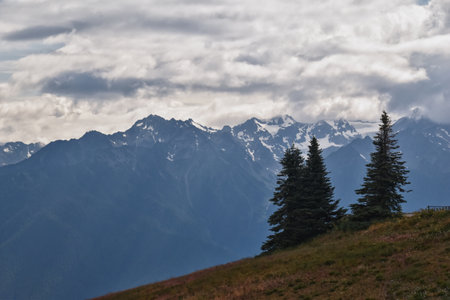 Hurricane Ridge Olympic National Park views from hiking trails by Port Angeles Washington USAの写真素材