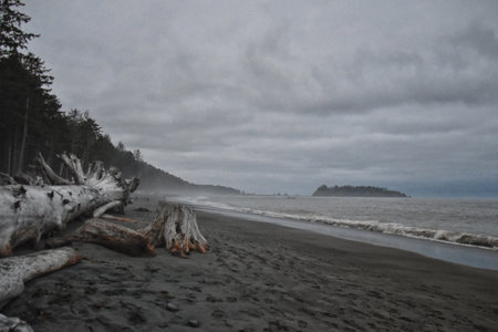 Rialto Beach beach and ocean island views at dusk in Olympic National Park, Washington State, USA.の写真素材