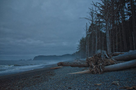 Rialto Beach beach and ocean island views at dusk in Olympic National Park, Washington State, USA.の写真素材