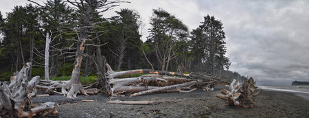 Rialto Beach beach and ocean island views at dusk in Olympic National Park, Washington State, USA.