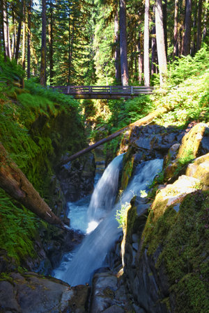 Sol Duc Falls waterfall view in summer 2024 Olympic National Park, Washington, United Statesの写真素材