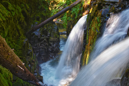 Sol Duc Falls waterfall view in summer 2024 Olympic National Park, Washington, United States