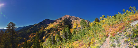 Box Elder Peak view looking up from hiking trail, American Fork Canyon. Wasatch Range Rocky Mountains, Utah, United States.の写真素材
