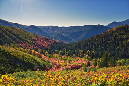Box Elder Peak hiking views from trail, American Fork Canyon. Lone Peak, Mt Timpanogos, Wasatch...