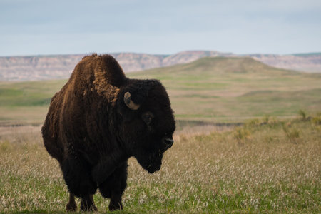 Interior Township, SD  April 2024: Interior Township, SD Beautiful Badlands National Parkの写真素材