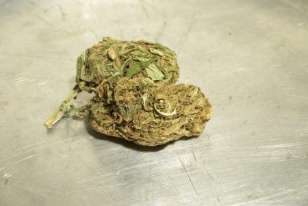 Weed, Medical Marijuana Grunge Detail and Backgroundの写真素材