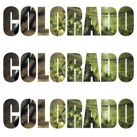 Colorado Marijuana の写真素材