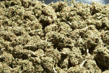 Weed, Medical Marijuana Grunge Detail and Backgroundの写真素材