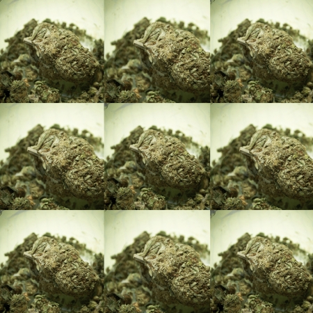 Weed, Medical Marijuana Grunge Detail and Backgroundの写真素材