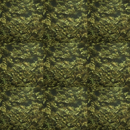 Weed, Medical Marijuana Grunge Detail and Backgroundの写真素材
