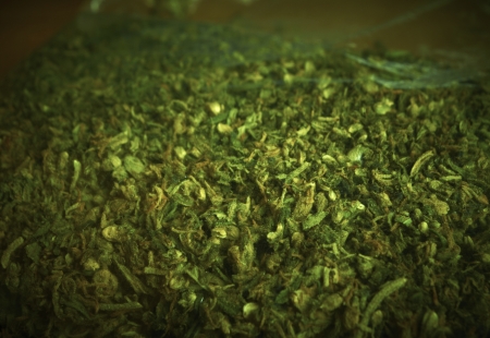 Weed, Medical Marijuana Grunge Detail and Backgroundの写真素材