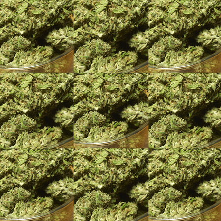 Weed, Medical Marijuana Grunge Detail and Backgroundの写真素材