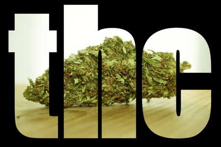 Weed, Medical Marijuana Grunge Detail and Backgroundの写真素材