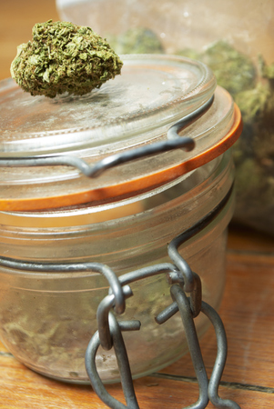 Weed, Medical Marijuana Grunge Detail の写真素材