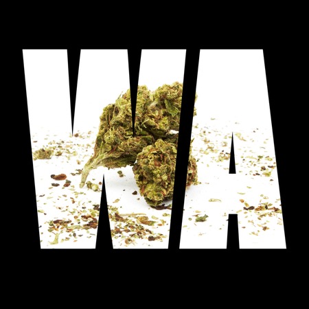 Washington Marijuana Legalization, State Symbol Icon, WAの写真素材