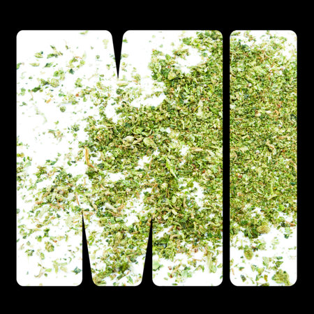 Michigan Marijuana and Cannabis Legalization, MI の写真素材