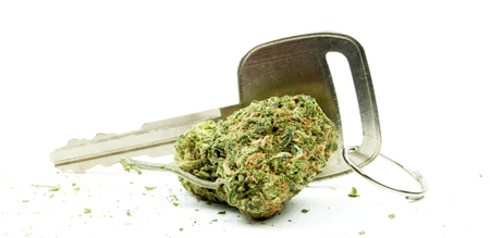 Marijuana and Cannabis Legalization, Objects on White Background, Medical and Recreational Weedの写真素材