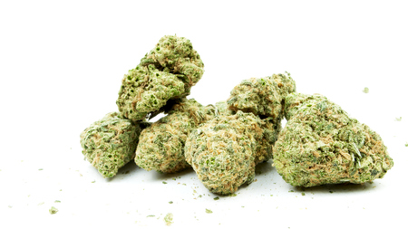 Marijuana and Cannabis Legalization, Objects on White , Medical and Recreational Weedの写真素材