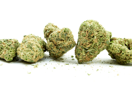 Marijuana and Cannabis Legalization, Objects on White , Medical and Recreational Weedの写真素材