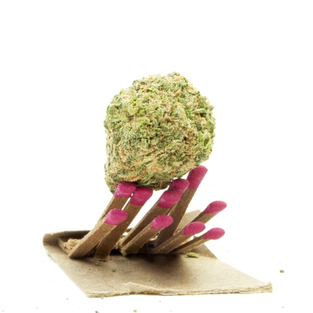 Marijuanaの写真素材