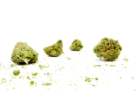 Marijuanaの写真素材