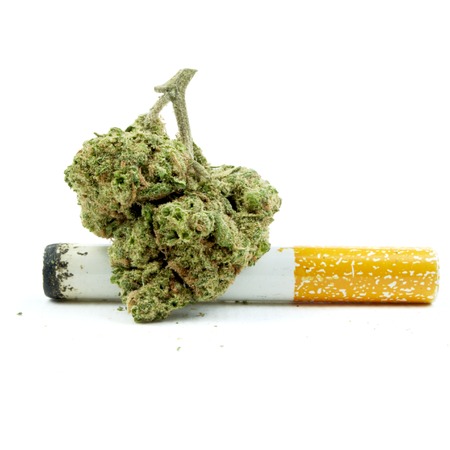 Marijuana and Cannabis Background and Pattern の写真素材