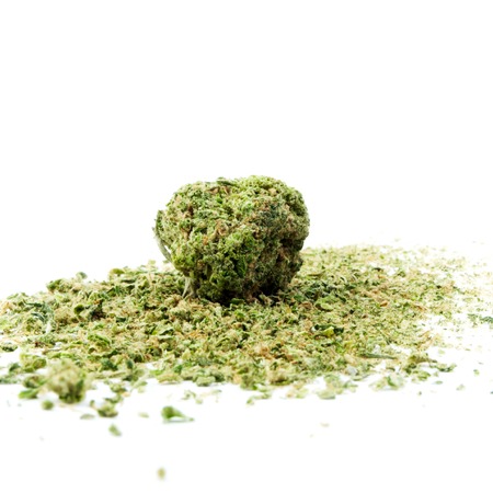 Marijuana and Cannabis Background and Pattern の写真素材