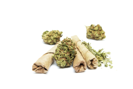 Marijuana and Cannabis Legalization, Objects on White Background, Medical and Recreational Weedの写真素材