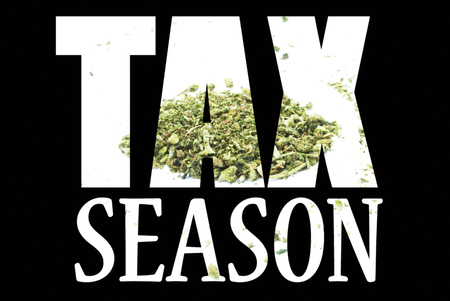 Marijuana Tax and Revenue  Image and Text の写真素材