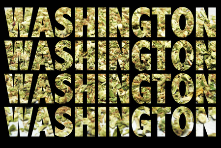 Marijuana and Cannabis, Washingtonの写真素材
