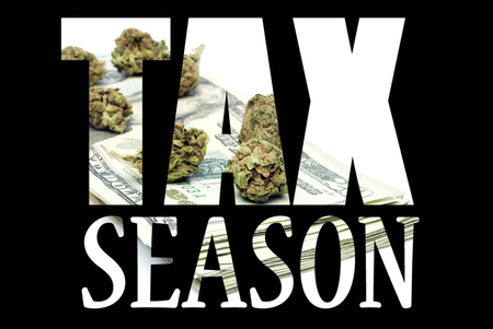 Marijuana and Cannabis Taxの写真素材