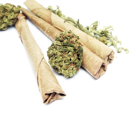 Marijuana and Cannabis Legalization, Objects on White Background, Medical and Recreational Weedの写真素材