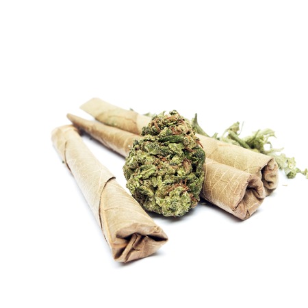 Marijuana and Cannabis Legalization, Objects on White Background, Medical and Recreational Weedの写真素材