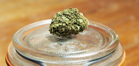 Marijuana  and Cannabisの写真素材