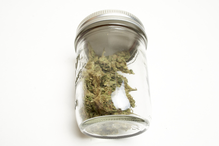 Marijuana and Cannabis on a White Backgroundの写真素材