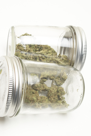 Marijuana and Cannabis on a White Backgroundの写真素材