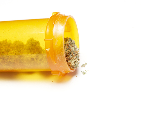 Marijuana and Cannabis on a White Backgroundの写真素材