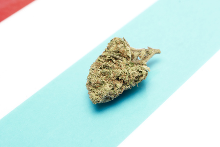 Marijuana and Cannabis on a Colorful Backgroundの写真素材