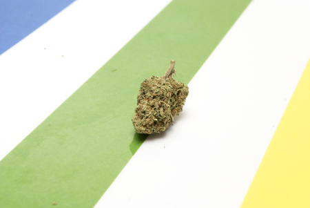 Marijuana and Cannabis on a Colorful Backgroundの写真素材