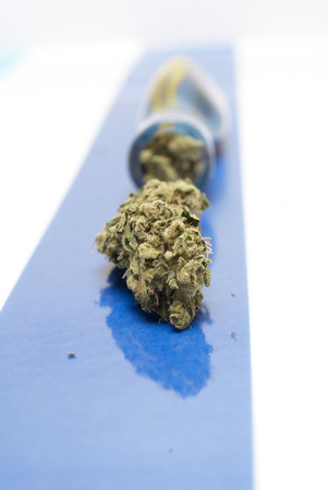 Marijuana and Cannabis on a Colorful Backgroundの写真素材