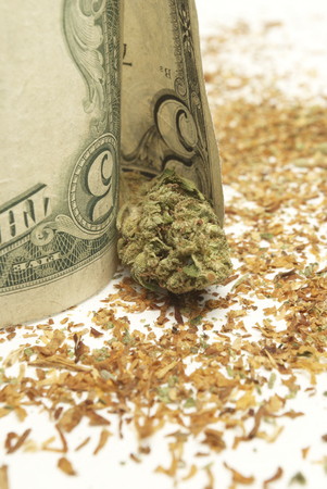 Marijuana and Cannabis on a White Backgroundの写真素材